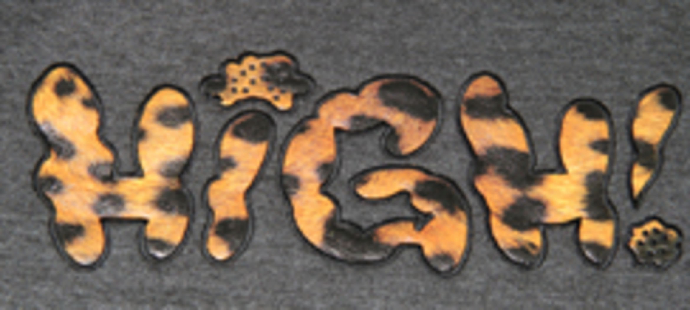 The EPCC can offer Applique using special printed material