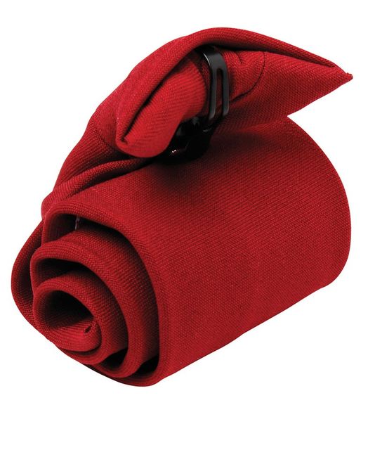 Premier Clip on Tie