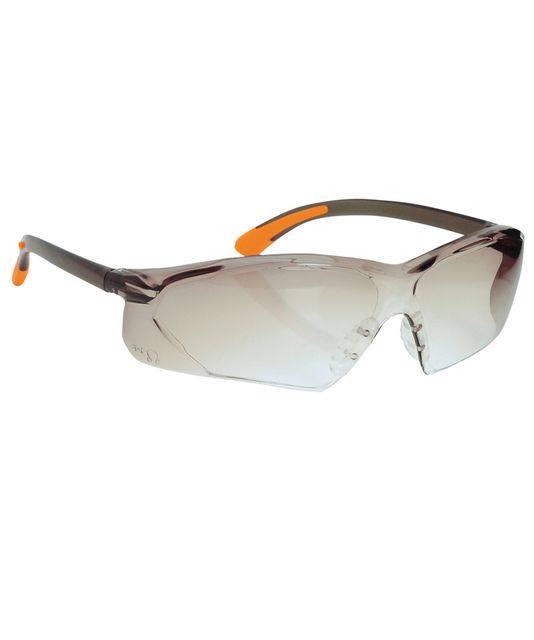 Portwest Pan View Spectacles